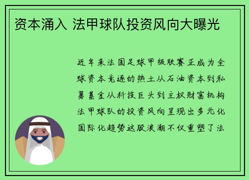 资本涌入 法甲球队投资风向大曝光