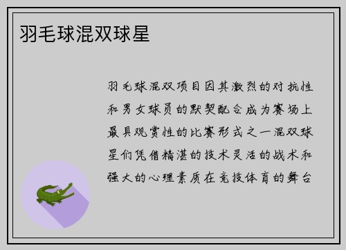 羽毛球混双球星